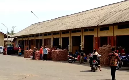 Ekspor Bawang Merah Macet Tiga Bulan Terakhir, Ada Apa?