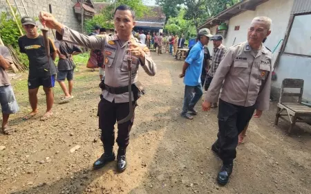 Carok Antar Pemuda di Bantaran, Tiga Luka Kena Sabetan Celurit