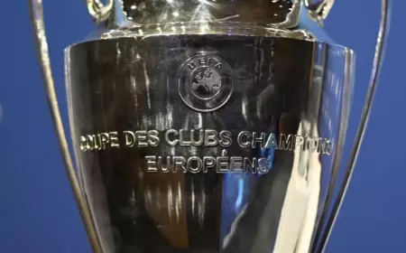 Arsenal dan Manchester City Berpeluang Lolos dari Babak 16 Besar Liga Champions