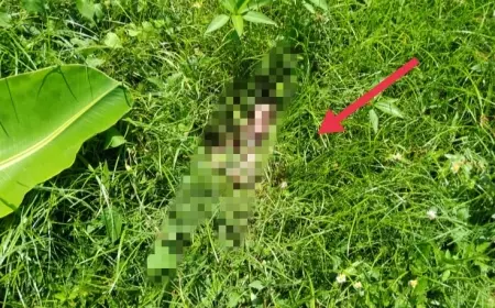 Orok Bayi Sengaja Dibuang Gegerkan Warga Jember