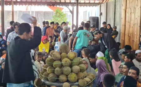 Jadi Penghasil Durian, Pemkab Probolinggo Dorong Untuk Jadikan Destinasi Wisata