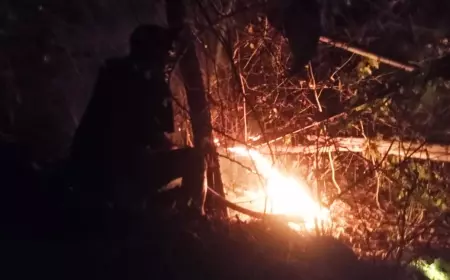 Gunung Triangulasi Jember Terbakar