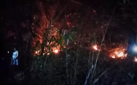 Kalaksa BPBD Jember Angkat Bicara Pasca Kebakaran Gunung Tembok