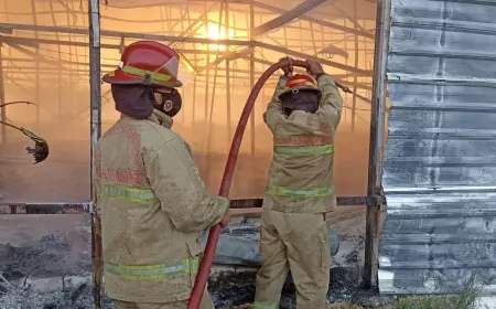 Kandang Ternak di Bojonegoro Terbakar, 38 Ribu Ayam Mati Terpanggang