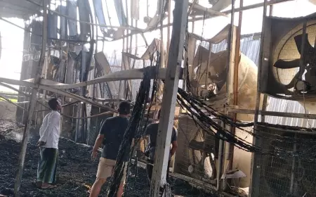 Kebakaran Kandang Ayam di Bojonegoro, Pemilik Merugi Rp 2,8 Miliar