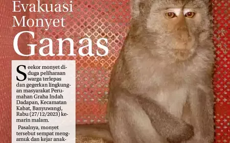 eKoran, Edisi Jumat, 29 Desember 2023