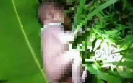 Remaja di Banyuwangi Tinggalkan Bayinya Baru Lahir di Semak Belukar