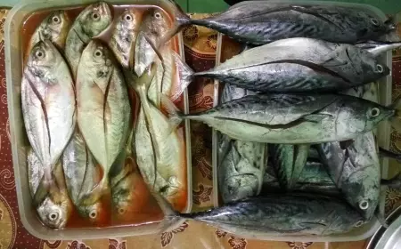Malam Tahun Baru Bakar Ikan, Ini Cara Mengolahnya