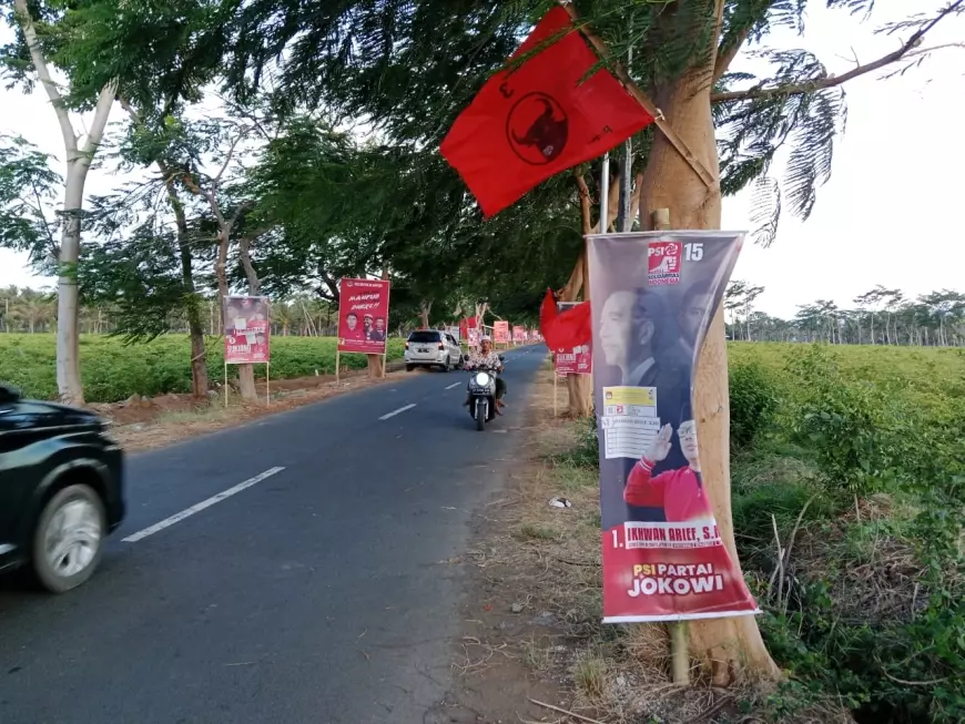 Perang Baliho PSI - PDI Perjuangan Warnai Kedatangan Kaesang ke Bangsring Banyuwangi