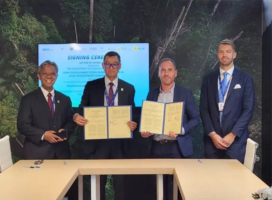 PT PLN dan HDF Energy Bakal Kembangkan Pembangkit Listrik Hidrogen di Indonesia