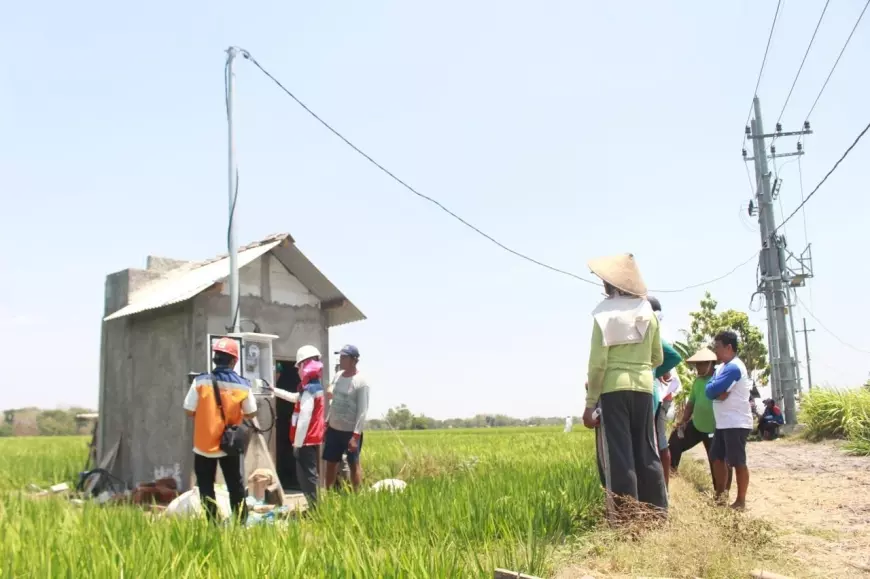 PLN Elektrifikasi Pertanian di Jawa Timur, Petani Hemat Biaya 65 Persen