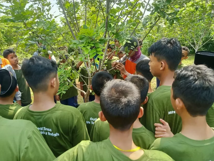 Pasca Ujian Semester, Pesantren di Gresik Ajak Santri Berpetualang di Kebun Melon