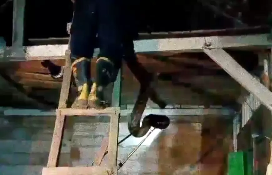 Ngeri! Dua Ular Piton Raksasa Bersarang di Atap Rumah Warga Bojonegoro
