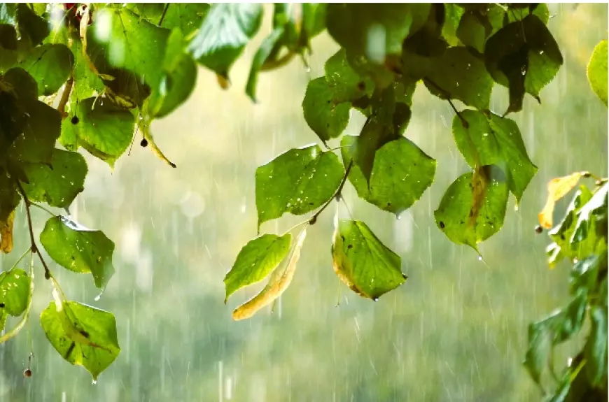 Prakiraan Cuaca 29 Desember 2023: Hujan Ringan di Siang Hari di Sebagian Kota di Jawa Timur