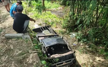 Mobil Pikap di Banyuwangi Tercebur ke Jurang Tewaskan Seorang Balita