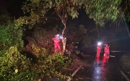 Selama Setahun, 206 Bencana Melanda Kota Batu