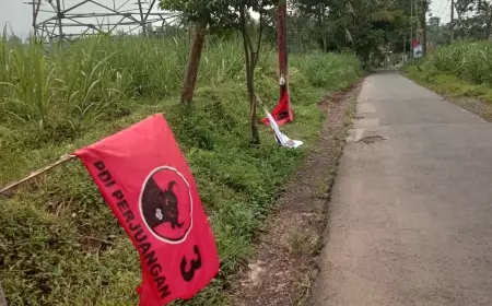 Bendera Partai Dirusak, PDI Perjuangan Kabupaten Malang Lapor Bawaslu