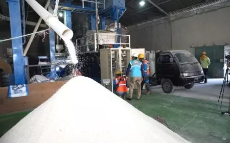 PLN Program Agrikultur Elektrifikasi Tumbuh 25 Persen Sepanjang 2023