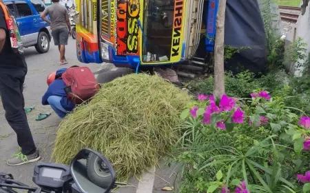 Warga Bojonegoro Tewas Tertimpa Truk