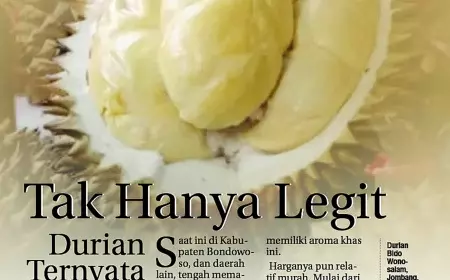 eKoran, Edisi Senin, 8 Januari 2024