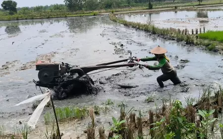 Jatah Pupuk Subsidi Kabupaten Bojonegoro Dikepras Pusat