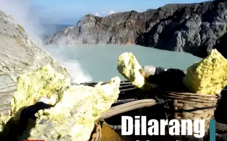eKoran, Edisi Kamis, 11 Januari 2024