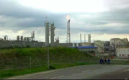 Pertamina EP Cepu Zona 12 di Bojonegoro Belum Terapkan Teknologi CCUS