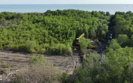 KPMM Kecam Aksi Perusakan Mangrove di Pesisir Selatan Pamekasan