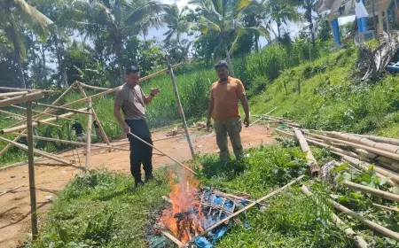 Judi Sabung Ayam di Gedangan Kabupaten Malang Digrebek Polisi