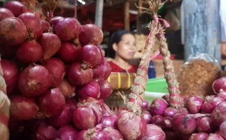 Berpotensi Go Internasional, Sri Untari Bakal Siapkan Koperasi Khusus Bawang Merah Probolinggo