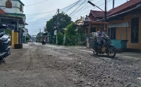 Puluhan Tahun Tak Diperbaiki, Jalan Aspal Desa di Jombang Mulai Rusak