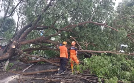 Cuaca Ekstrem, Ini Imbauan BPBD Lumajang Kepada Masyarakat