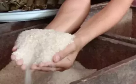 Harga Beras Mengalami Kenaikan Di Jombang, Tembus Rp 14 Ribu Per Kilogram