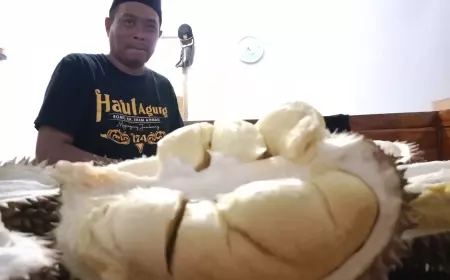 Cara Pilih Durian Lokal Wonosalam Jombang Menurut Kades Sugiat
