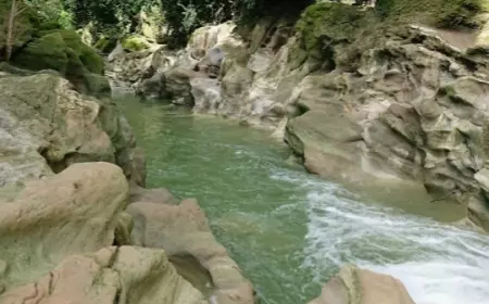 Kedung Cinet, Tempat Indah Ditengah Hutan Jombang Kini Minim Sentuhan