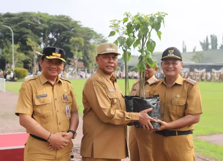 ASN Jombang Dapat Perintah Dari Pj Bupati Tanam Cabai Di Pekarangan Rumah