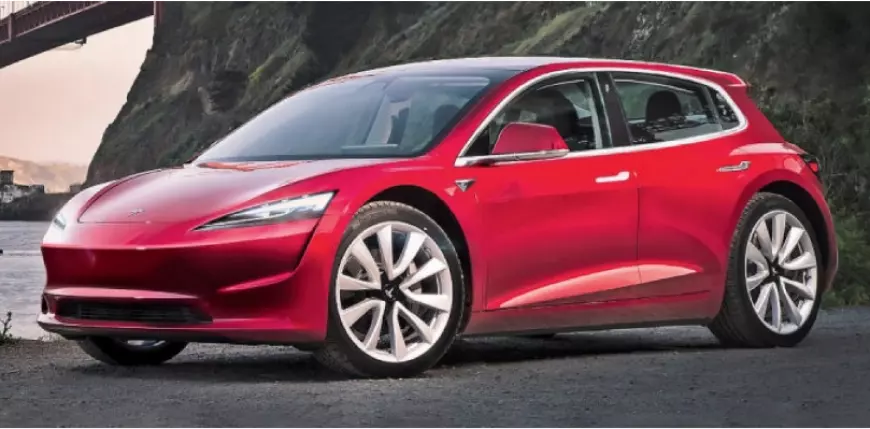 Terancam Eksistensi BYD, Tesla Segera Luncurkan EV Terjangkau