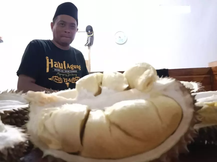 Cara Pilih Durian Lokal Wonosalam Jombang Menurut Kades Sugiat