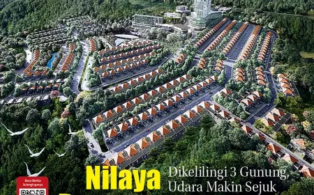 eKoran, Edisi Kamis, 1 Februari 2024