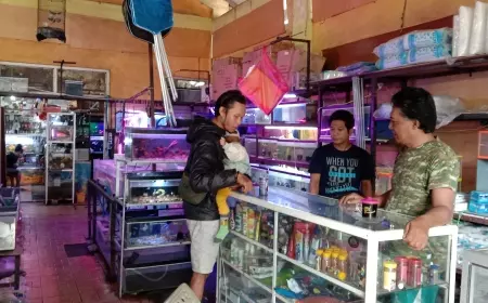 Bermodal Gadaikan Motor, Anggota TNI Sukses Usaha Jual Ikan Hias Beromset Puluhan Juta