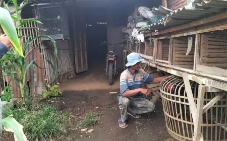Musmulidi Rudik, Warga Pra Sejahtera yang Tak Pernah Dapat Bantuan