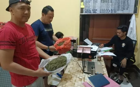 Pengedar Ganja di Bondowoso Ditangkap Polisi