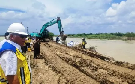 Menteri PUPR Targetkan Tiga Hari Selesaikan Perbaikan Darurat Tanggul Sungai Wulan di Demak 