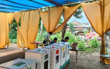 Meski Menakutkan, Antuasiasme Pemilih Tinggi di TPS Dekat Pemakaman di Jember