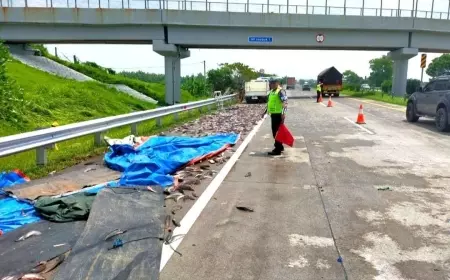 Pecah Ban, Mobil Pickup Angkut Ikan Lele Terguling Di Tol Jomo