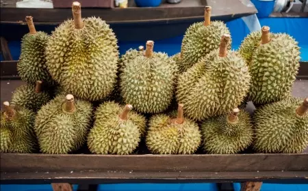 Bijak Mengonsumsi Buah Durian