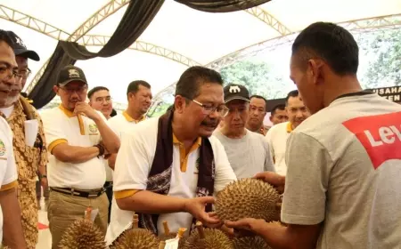 Omzet Penjualan Petani Dalam Festival Durian Capai Rp 9 Juta Sehari