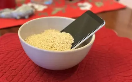 Masih Gemar Keringkan Ponsel Pintar di Dalam Beras? Jangan Lakukan pada iPhone!