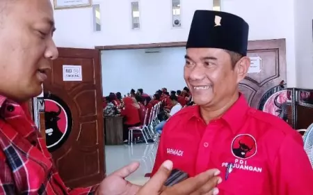 Darmadi Yakin Ahmad Basarah Raih Kursi DPR RI