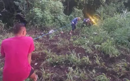 Diduga Ngantuk, Minibus di Malang Masuk Jurang